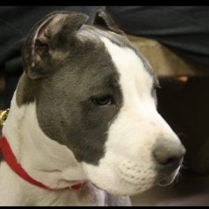 Meet your Posher, Cathy